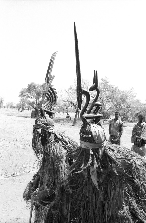 Bamana masqueraders with chi wara headdress Bamako region, Mali Photograph by Eliot Elisofon, 1971 National Museum of African Art Smithsonian Institution