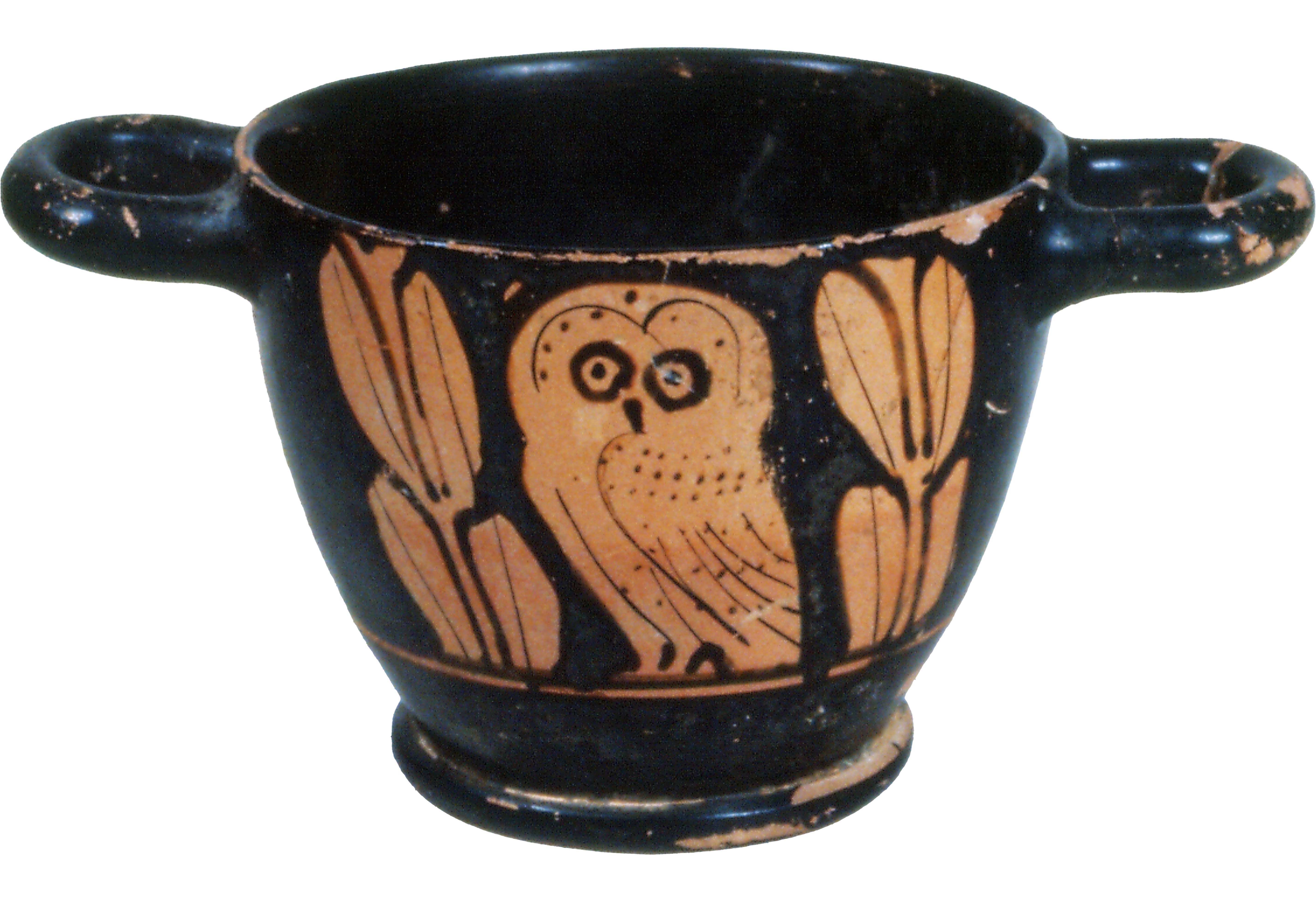 skyphos with an owl