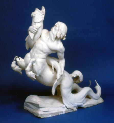 Centaurs Image