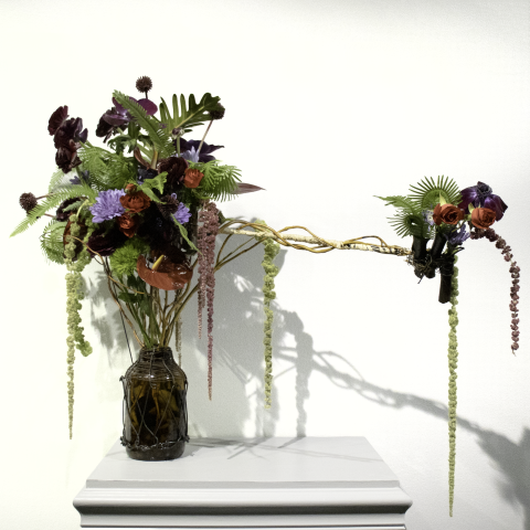 Mizzou SAIFD arrangement