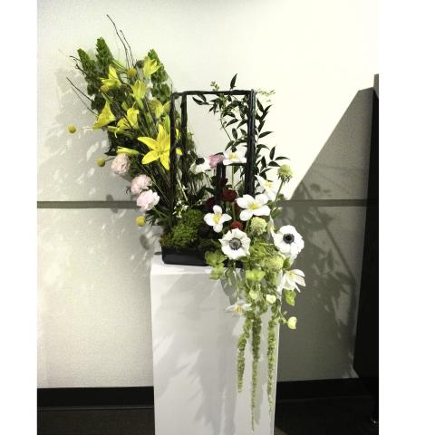 Tiger Garden arrangement