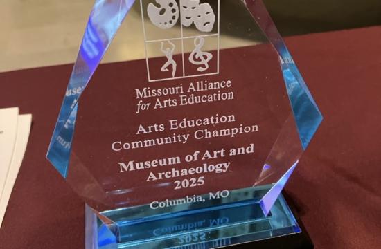 MAAE award